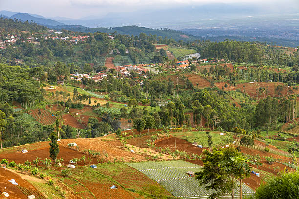istock Colorful Hillside Farmland Panorama View 2229159383