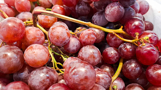 istock Fresh Red Grapes on the Stem 2229169339