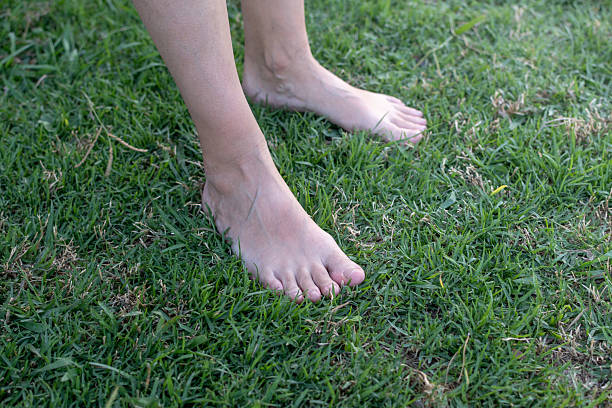 istock Top view photo shows a woman's bare feet on grass. 2229175962