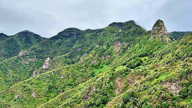 istock A Breathtaking Lush Green Mountain Range Nestled Beneath a Dramatic Overcast Sky 2229180643