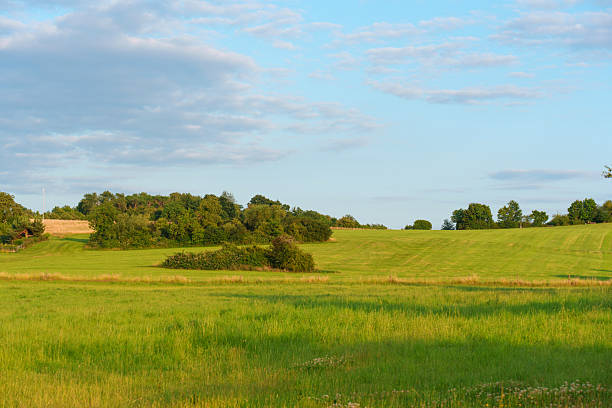 istock Lush Green Fields Under a Clear Blue Sky in Rossdorf Germany 2229182040