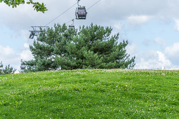 Meadow with clover in front of cable car.