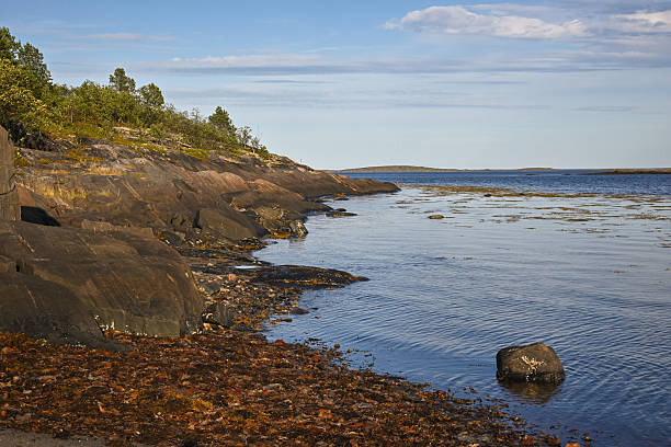 istock The White Sea coast. 2229185994