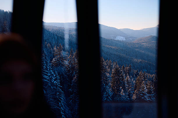 The breathtaking view of snow-covered mountain forests seen through window blinds evokes a sense of tranquility and wonder during a winter getaway