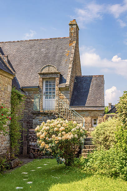Locronan, France-Maj, 2024: Rhododendron in bloom in a idyllic garden