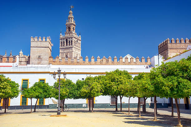 La Giralda Tower in Seville, famous landmark in Spain. Patio de Banderas with trees in the foreground. The Giralda is seen inside an arch.