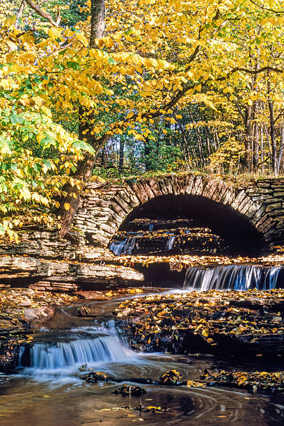 istock Old arch bridge over a stream with small waterfalls  at autumn 2229200578