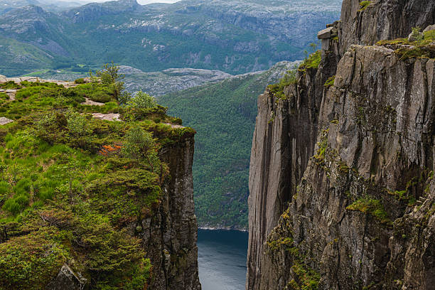 istock Preikestolen Cliffs and Lysefjord in Norway with Lush Greenery 2229211429