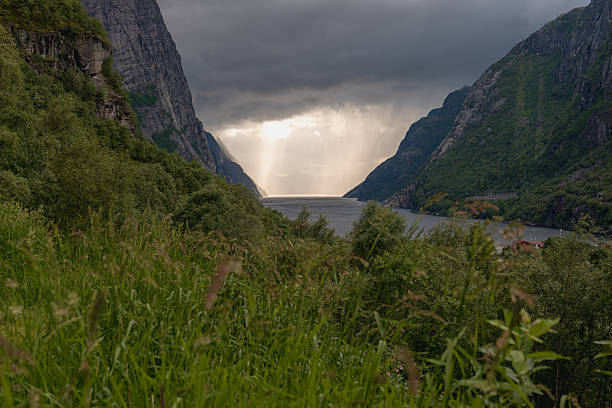 Lysefjord in Norway framed by steep cliffs, lush vegetation in the foreground, and storm clouds with sunlight illuminating the fjord in the background.
