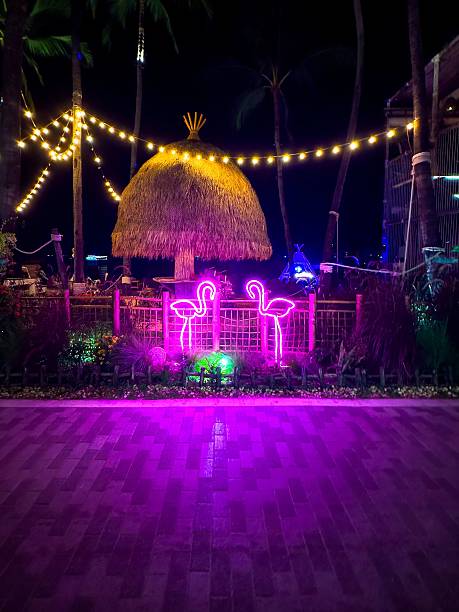 istock Tropical bar with neon flamingos and string lights at night 2229213705