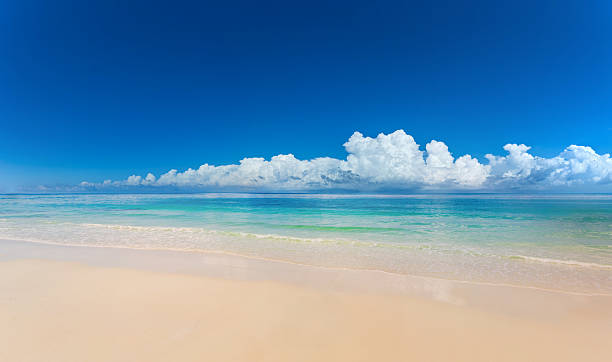 istock Beautiful sea landscape nature 2229215457