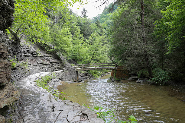Wooden bridge is crossing mountain river in cliffy gorge