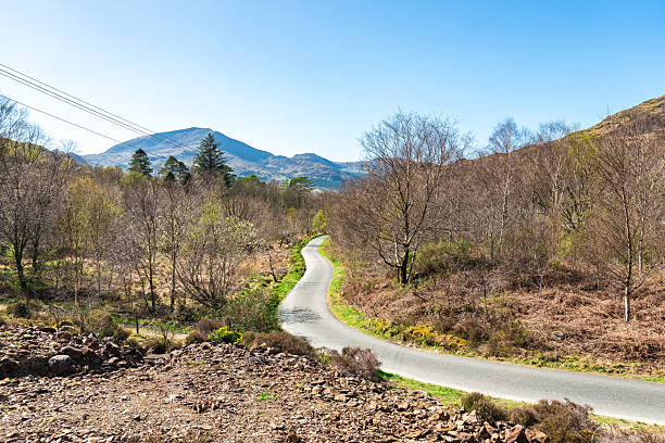 Narrow country lane bordered by dry stone walls with views of distant Lake District hills in spring