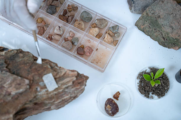 istock In the laboratory, research equipment rests on the table as scientists analyze rock samples, using advanced geology techniques to make groundbreaking discoveries in science. 2229221735