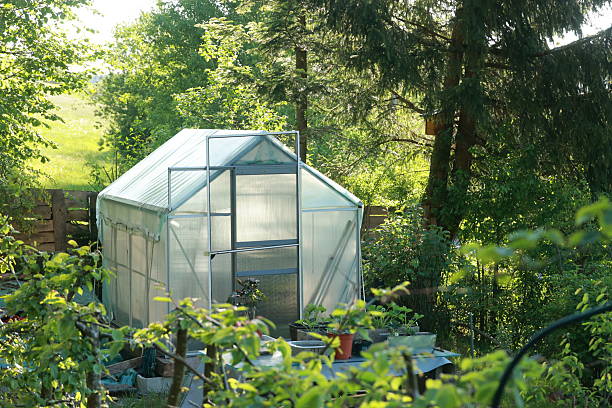 A greenhouse is surrounded by trees and plants. The greenhouse is made of glass and has a roof