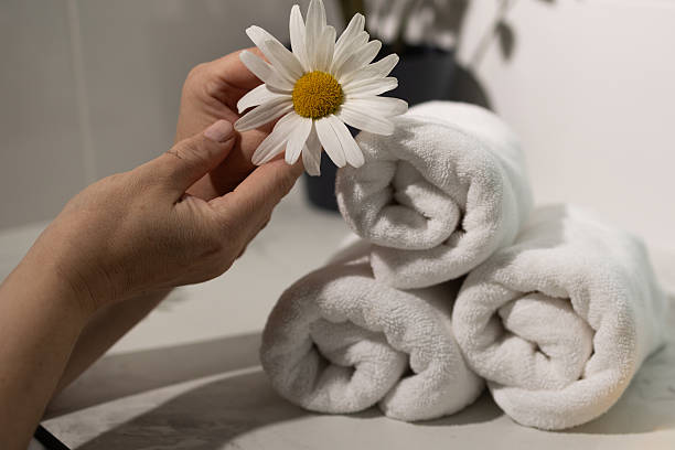 istock Delicate Hands Holding a Daisy Above Neatly Rolled White Towels in a Serene Bathroom Setting 2229226215