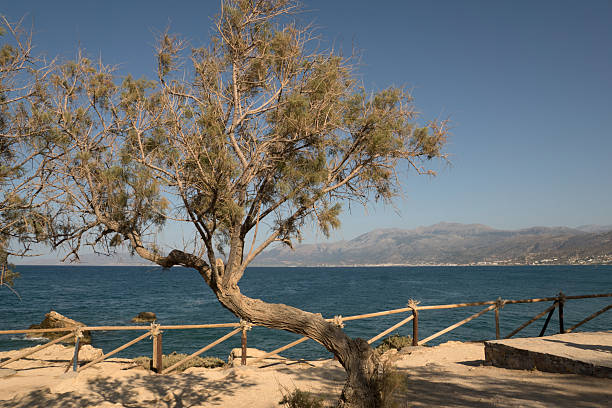 Beautiful Adriatic Sea view from Jelsa - Hvar Island.