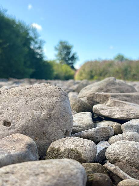 Close-up view of smooth, weathered river stones in various shapes and sizes, scattered naturally. The soft beige and grey tones highlight the organic texture and natural beauty of the rocky surface.