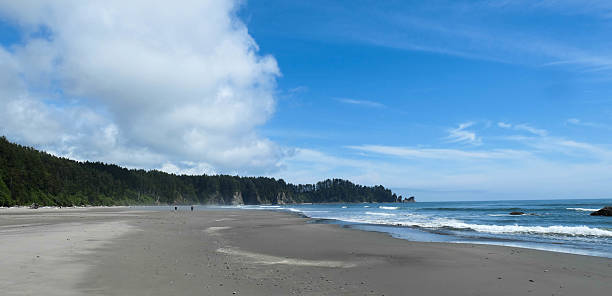 istock Second Beach, Olympic National Park WA 2229230469