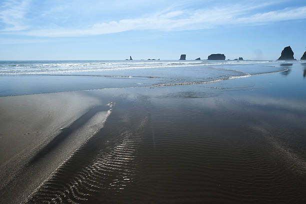 istock Second Beach, Olympic National Park WA 2229230487