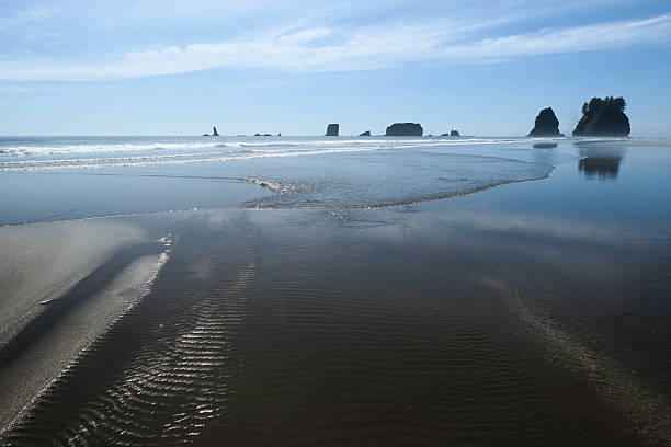 istock Second Beach, Olympic National Park WA 2229230488