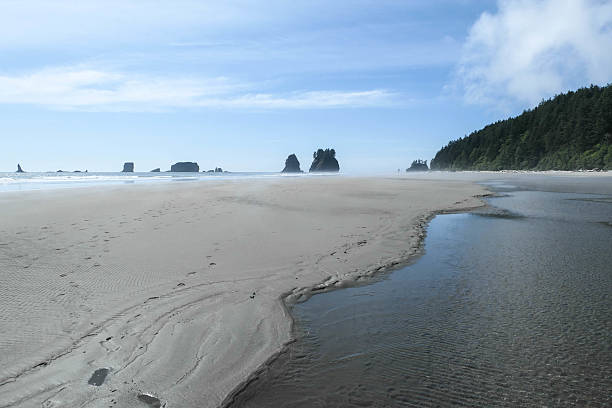 istock Second Beach, Olympic National Park WA 2229230493