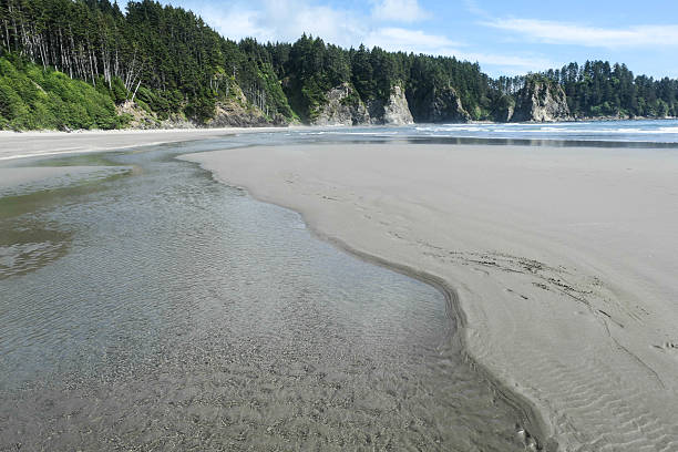 istock Second Beach, Olympic National Park WA 2229230504