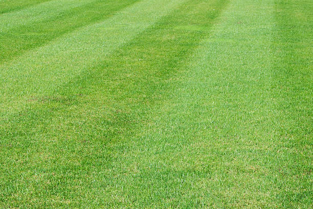 istock Lush Green Lawn with Mowing Stripes 2229230967