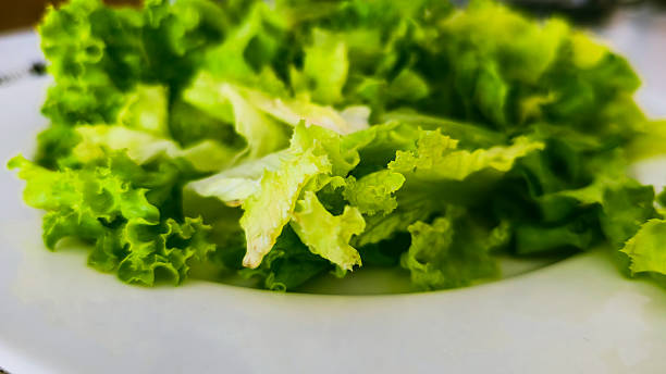 istock Fresh Green Leaf Lettuce Salad on Plate 2229232172