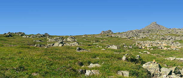 mountain meadow with rocks and green grass under blue sky