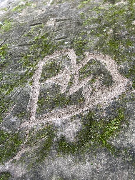 istock Carved Affections Love and Hearts 2 2229236198