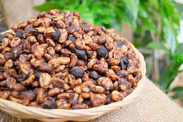 Coffee beans showing various stages of roasting from raw, stock photo