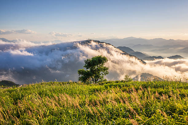 Beijing, China - 9th August 2025 - Amazing clouds sea in Beijing Miaofeng mountain at sunset
