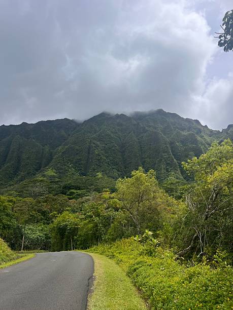 istock Ho‘omaluhia Botanical Garden in Oahu, Hawaii 2229241704