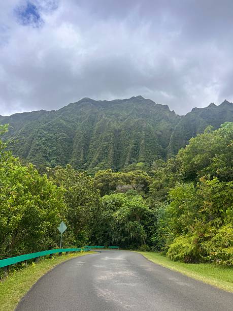 istock Ho‘omaluhia Botanical Garden in Oahu, Hawaii 2229241796