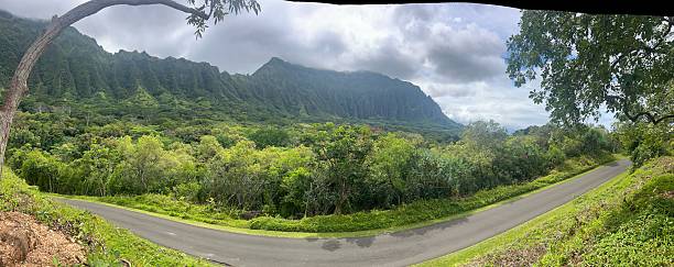Lush tropical landscapes at Ho‘omaluhia Botanical Garden in Oahu, Hawaii, featuring vibrant native plants, tranquil walking paths, and scenic mountain views. A peaceful destination showcasing the natural beauty and biodiversity of the Hawaiian islands.