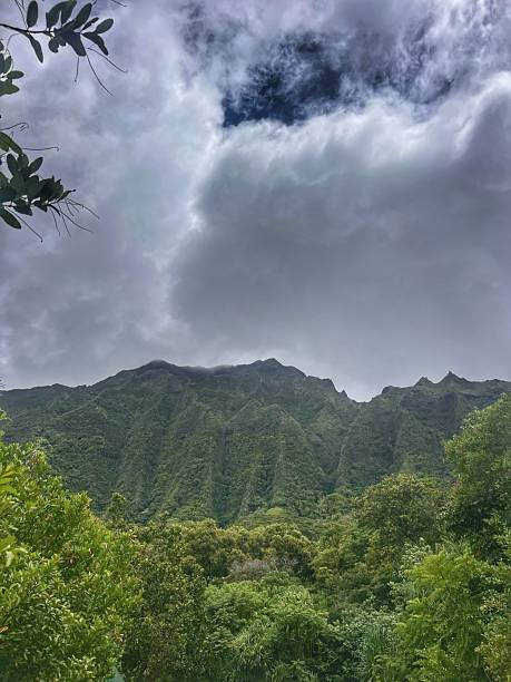 istock Ho‘omaluhia Botanical Garden in Oahu, Hawaii 2229243192