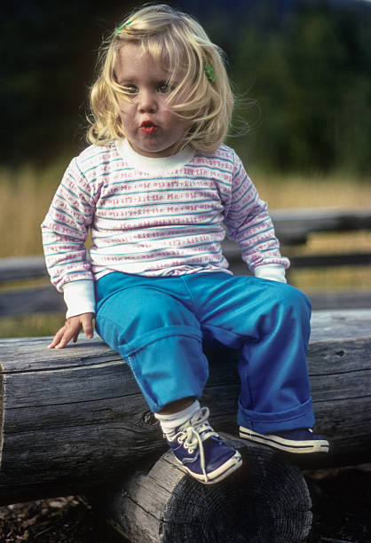 istock Mount Rainier NP - Girl  on Fence - 1983 2229247171