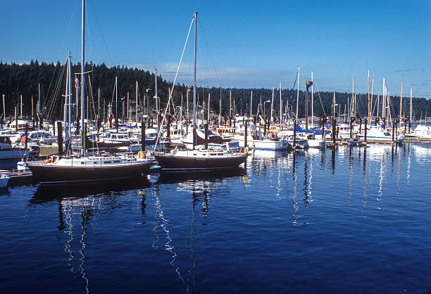 San Juan Islands - Friday Harbor Sailboats - 1983. Scanned from Kodachrome 25 slide.