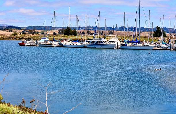 istock Panoramic View of Moss Landing Harbor with Seal on a Sandbar 2229247462
