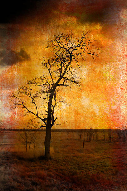 Single tree on barren landscape with flock of birds