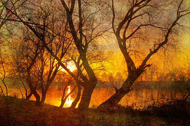 Art grunge spooky landscape showing autumn sunset on the riverbank.