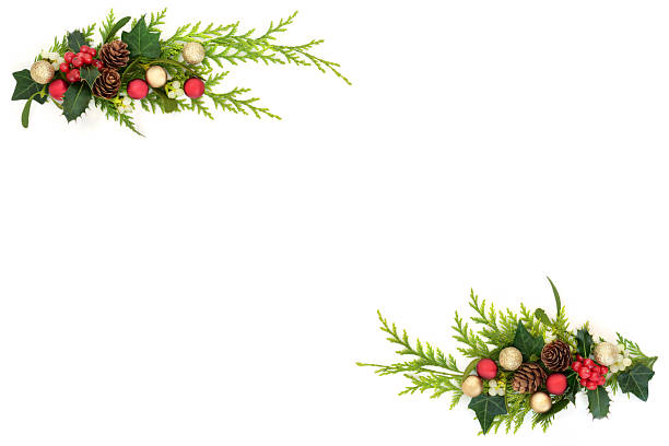 istock Christmas Bauble Decorations and Natural Winter Flora 2229254625