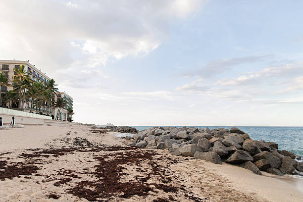 Cloudy Sunset Sky Over the Palm Beach, Florida Seashore, Summer 2025