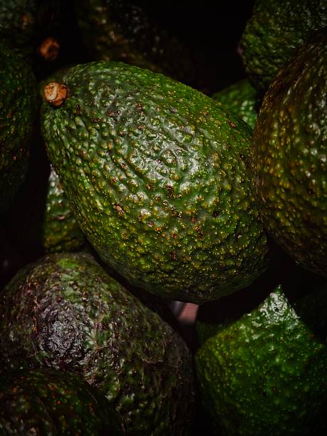 Fresh Ripe Avocados Close Up
