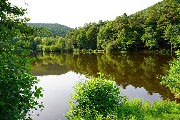 istock lake at the forest at St.Martin 2229264452