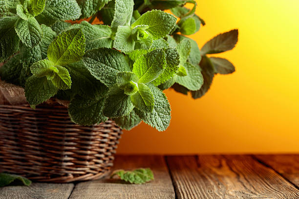 Fresh mint in a basket on an old wooden table.  Copy space.
