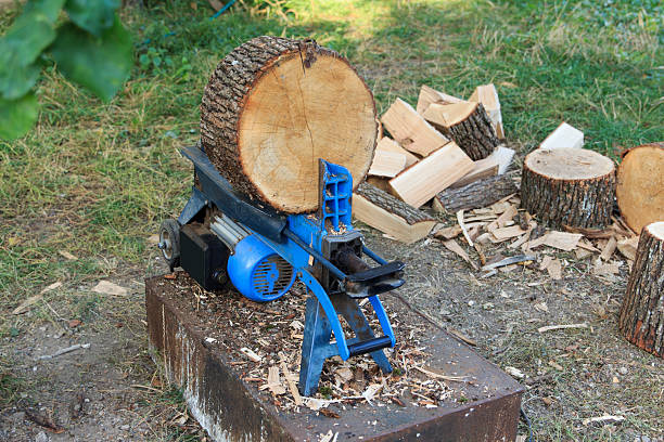 A blue electric wood splitter is positioned on a wooden platform. Logs are stacked nearby, with some already split into smaller pieces. Scene is set outdoors in a natural environment
