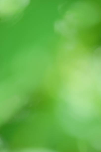 istock Soft focus green abstract background with blurred foliage, creating a serene and tranquil atmosphere, ideal for nature-themed designs and artistic projects 2229276803