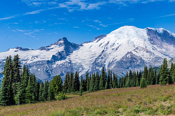 istock Mt. Ranier National Park 2229277173